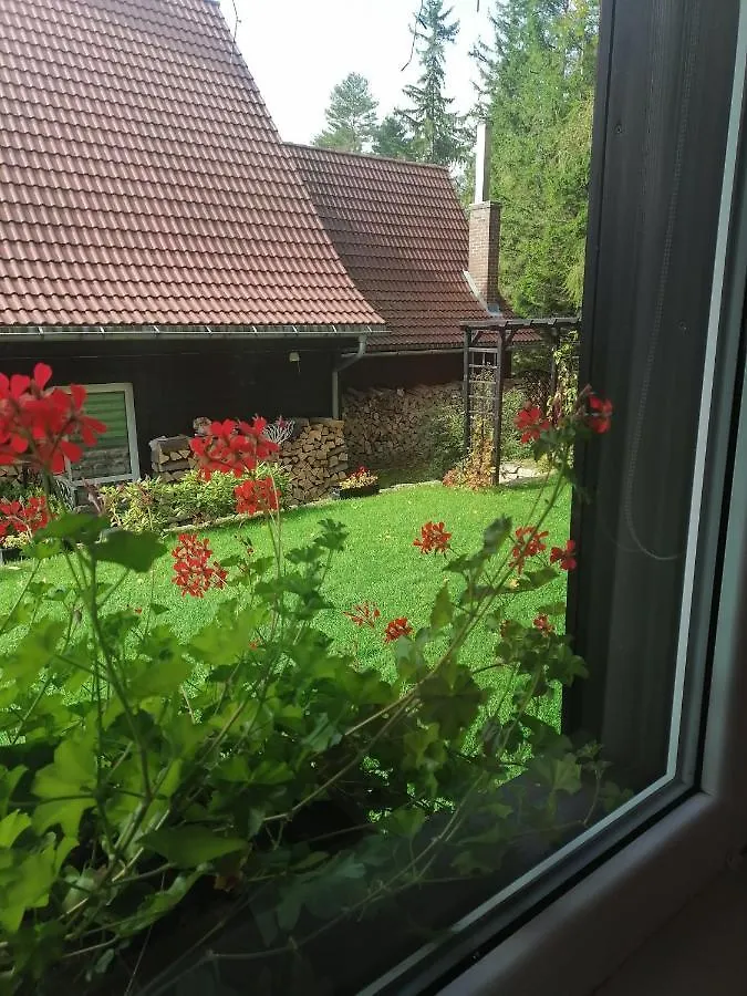 Willa Pod Lasem Szklarska Poręba